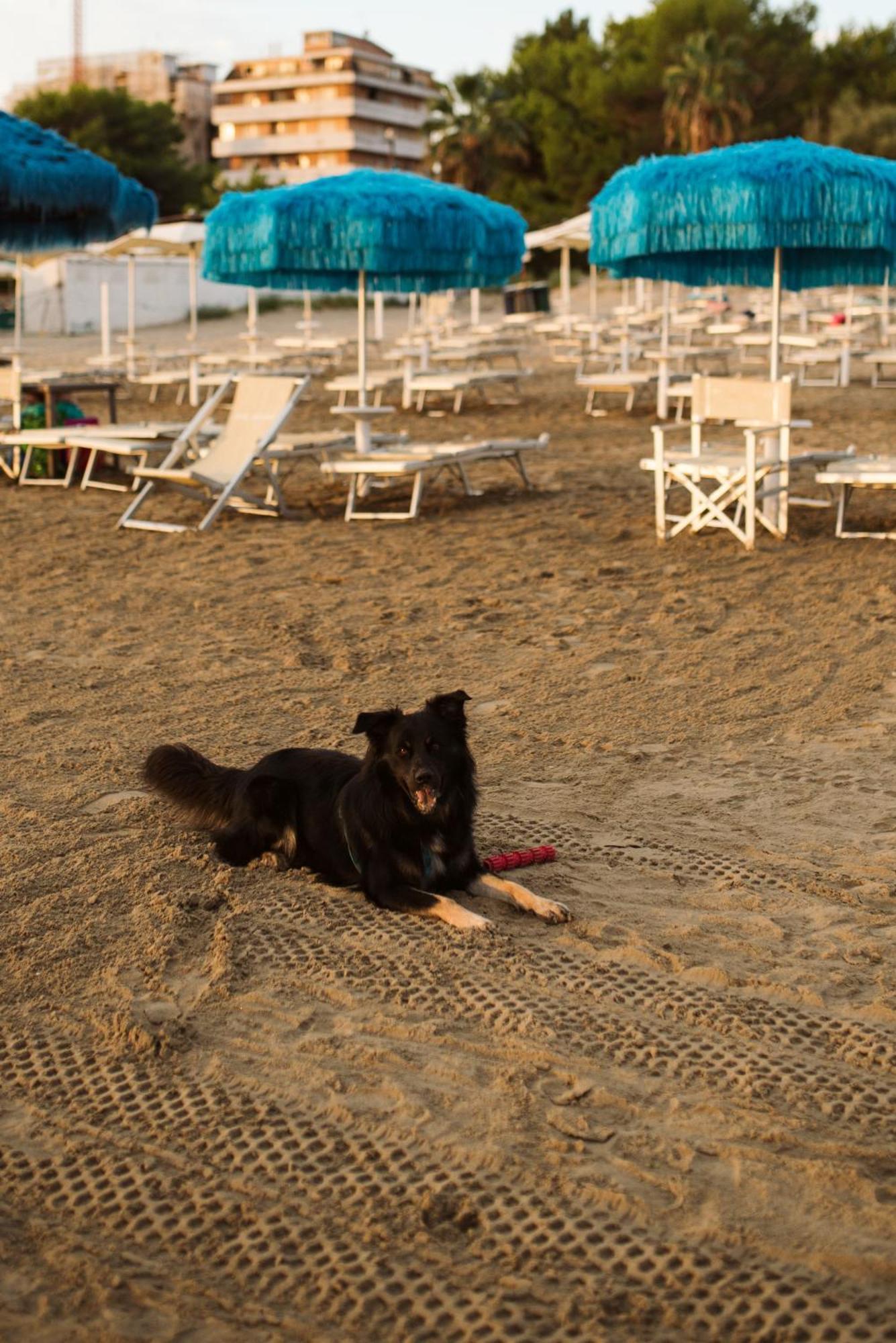 Hotel Antagos Montesilvano Marina المظهر الخارجي الصورة